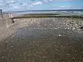 The mouth of the river