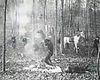 A gunfight in a wooded area