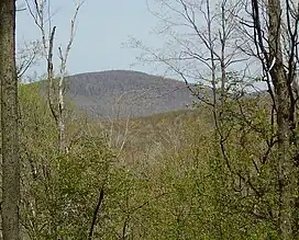 Schaefer Head, Blair County's highest point