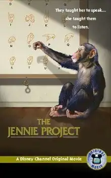 A chimpanzee in front of a chart of sign language hand positions