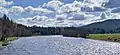 The River Dee