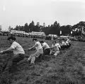 The Royal Welsh Show 1963, Llanelwedd.