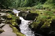 The Strid near Bolton Abbey54°0′15.18″N 1°54′13.3″W﻿ / ﻿54.0042167°N 1.903694°W﻿ / 54.0042167; -1.903694