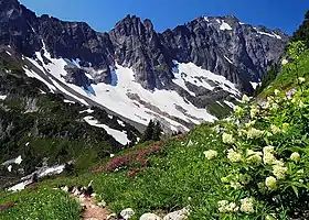 Image 27Alpine flora near Cascade Pass (from Montane ecosystems)