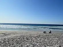 Carmel Bay on a sunny afternoon