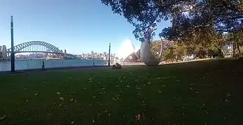 A view of Sydney Harbour from the Domain.