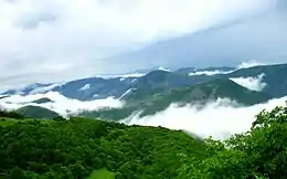 A view of Ayenelu forests