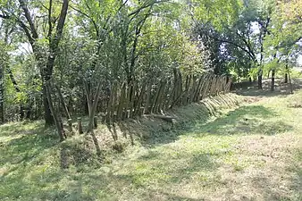 Remains of sconces of the battle of Ivankovac.
