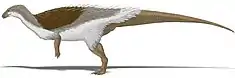 Thescelosaurus neglectus