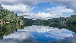 A view of Lower Thetis Lake