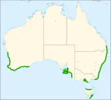 Map showing distribution of This canus along southern Australian coasts