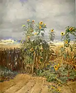 Sunflowers growing on the beach