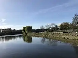 View of the water at Three Mills