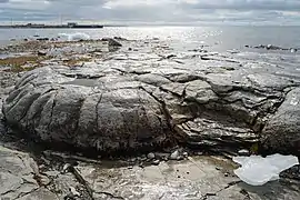 Thrombolites