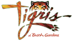 A script text "Tigris" in an orange gradient, trimmed in green, with sublimated tiger stripes. The tail of the "g" curls around and ends in a paw print. An illustration of the top half of the head of a tiger, featuring its eyes, sits atop the script. The words "at Busch Gardens" are in red, tucked into the lower right corner.