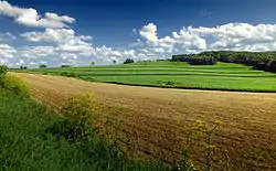 A farm in the township