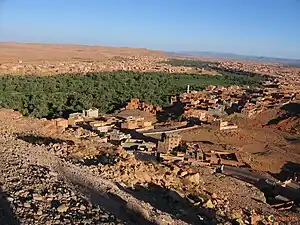 Long belt of trees, with small city at its edge