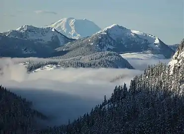 Tinkham Peak, Mt. Rainier, Silver Peak seen from Red Mountain