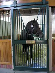 Tiznow in his stall at WinStar Farms