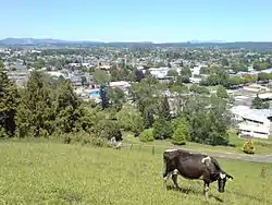 View to south from Tokoroa scenic lookout that includes in the distance to the left of the picture much of the south western Mamaku Ranges