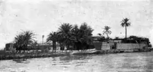 Photograph of Ezra's Tomb, early 20th century. The dome is hidden by date palms.