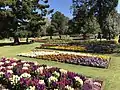 Flowers - Queens Park Botanic Gardens 2017