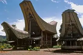 Houses in a Torajan village, South Sulawesi