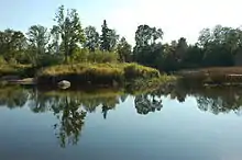 Sacred grove island of Tori, Estonia