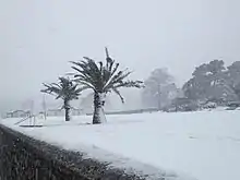 Image 34Torquay sea front during Storm Emma – March 2018 (from Devon)