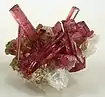 Rubellite