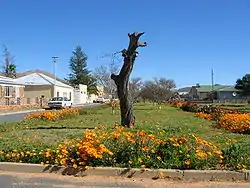 Street in Touws River