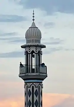 Saqib Minar is the notable tower of the village