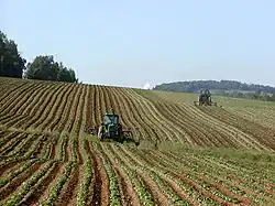 Field in Fort Fairfield, Maine