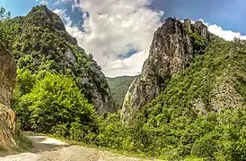 Tran Gorge near the border with Serbia