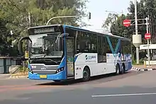 Blue and White bus