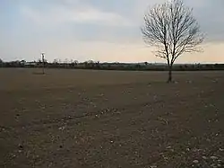 Tilled field in Ballyda townland