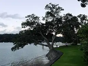 Christmas Beach, on the northern side of Herald Island