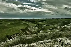 Landscape near the stanitsa of Tryokhostrovskaya in Ilovlinsky District