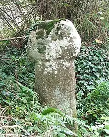 Fig. d20: Trembath Cross