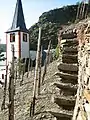 6. Terraces in the old part of the Alkener Burgberg