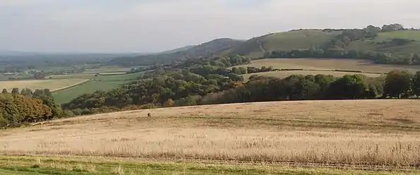 Typical topography (Treyford Hill): steep wooded northern slope (left), gently sloping southern slope of pasture and woodland.