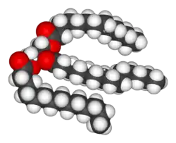 A space-filling model of an unsaturated triglyceride.