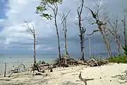 Beach view on Havelock Island