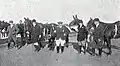 Winners of a trot competition, 1909