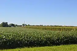 Fields north of Casstown