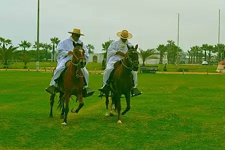 Chalanes Trujillanos in horses