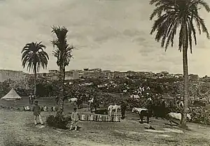 Ottoman soldiers with horses near a tent on the outskirts of the town