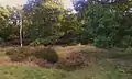 The surviving late prehistoric tumulus, or burial mound, atop the hill in the woods. It has been dug into and is heavily damaged.