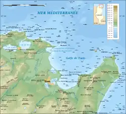 A French topological map of the Gulf of Tunis, showing Plane Island as Île Plane