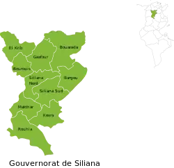 Subdivisions of Siliana Governorate